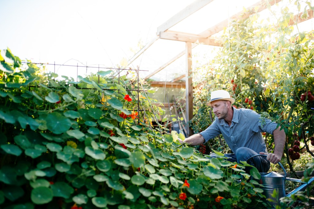 Selbstversorgung!? – Interview mit Giovanni Malfitano, einem Selbstverorger und Saatgutexperten