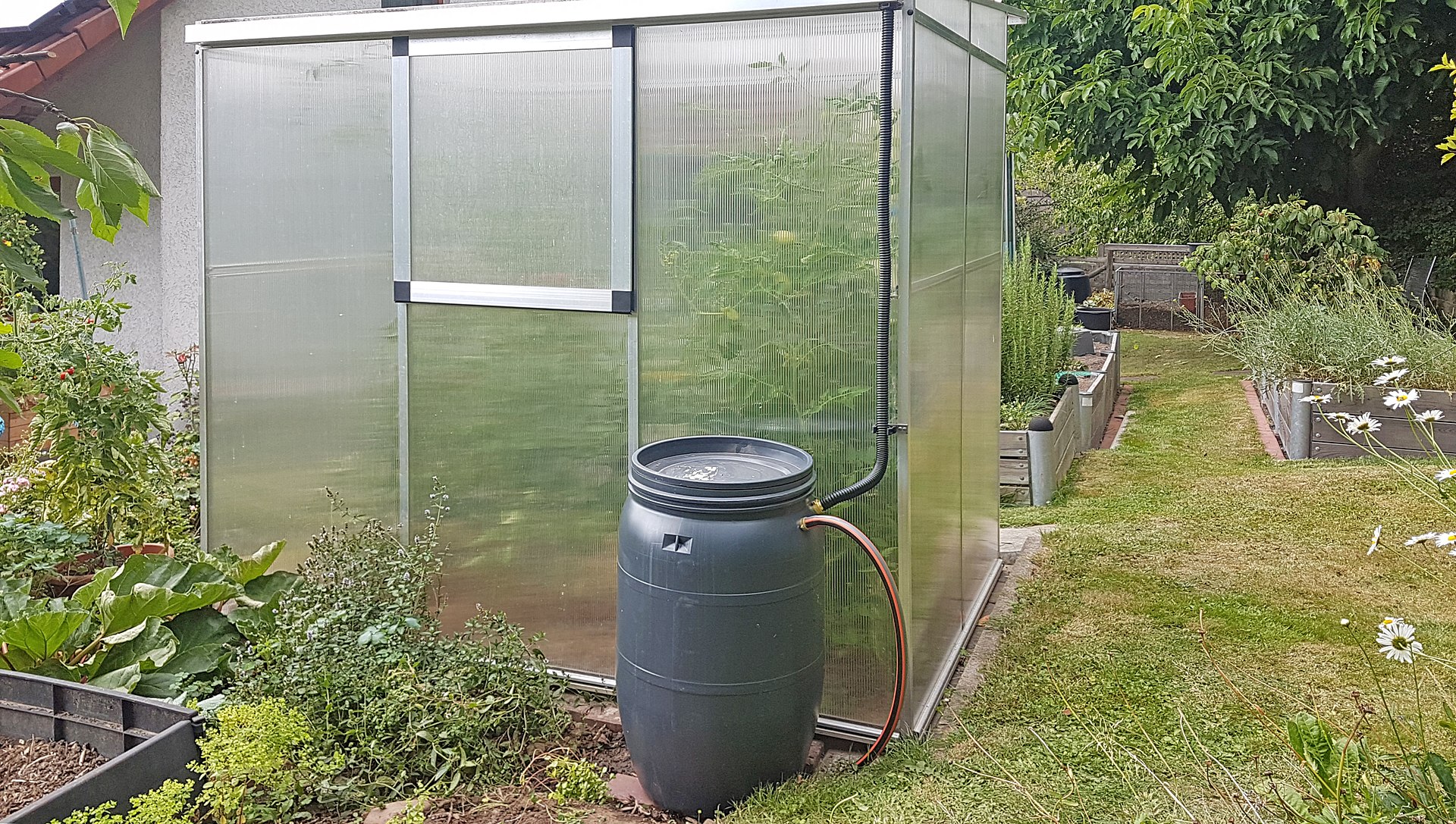 Regenwasser sammeln!