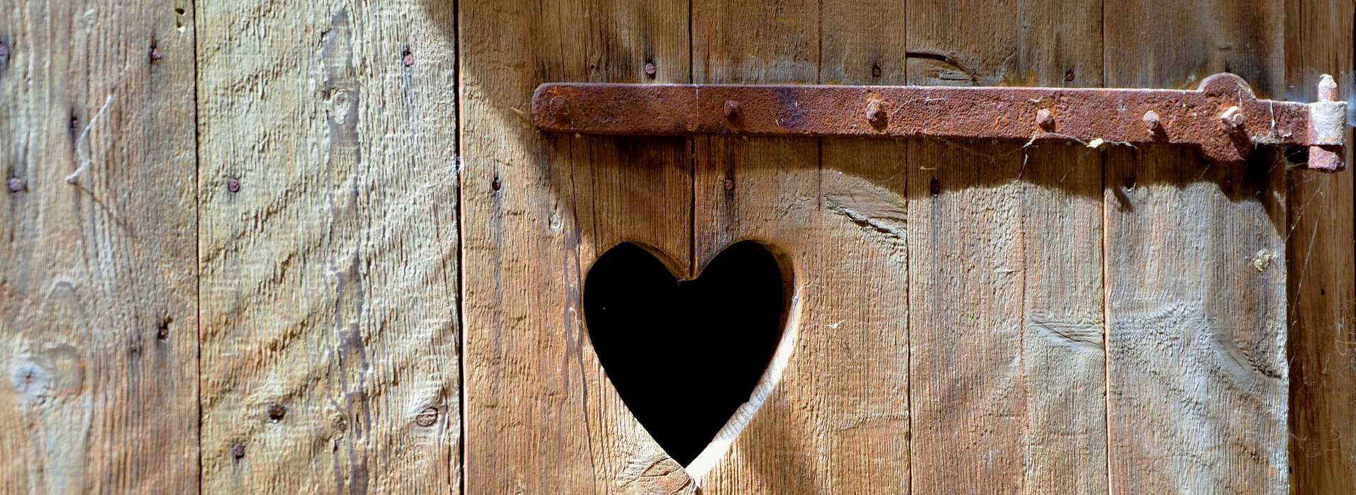 Die Trocken- Trenntoilette – Praktisch und umweltfreundlich