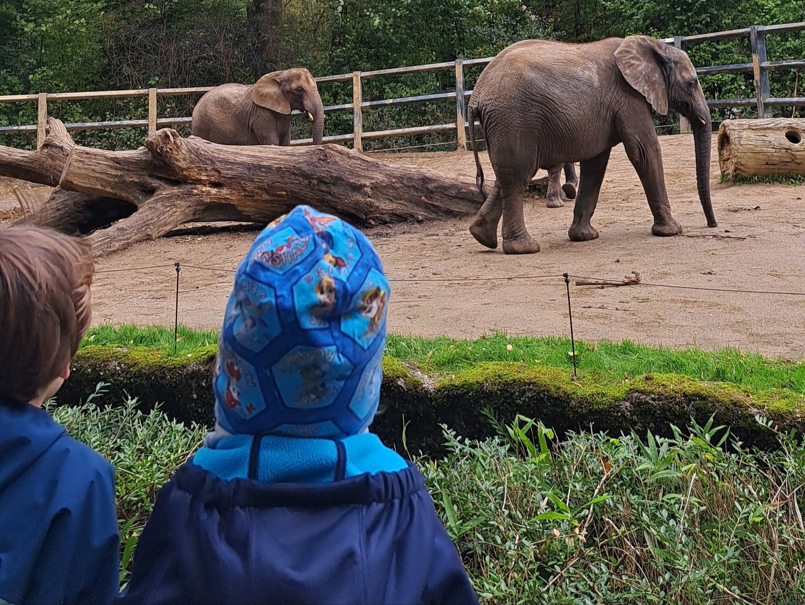 Besuch der Gartenzwerge im Wuppertaler Zoo